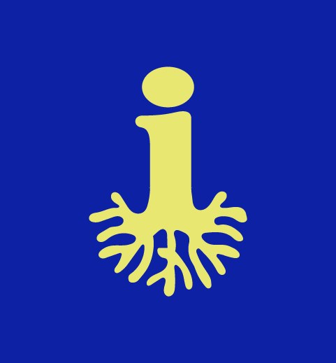 Stories brand mark, blue version